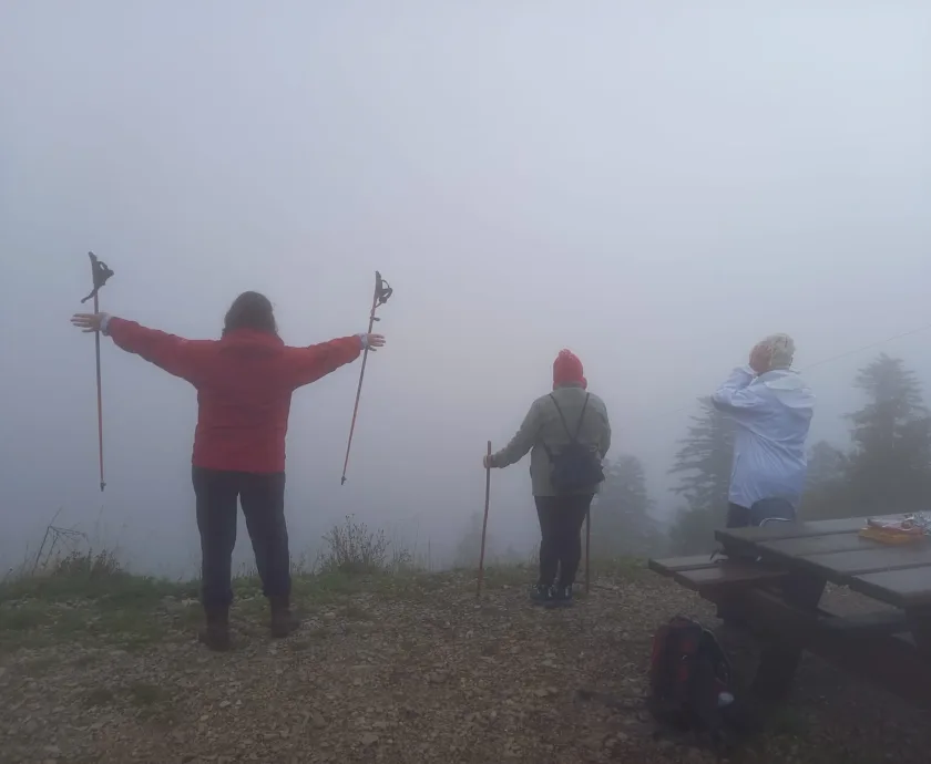 WhatsApp-Image-2026-03-23-at-15.39.16